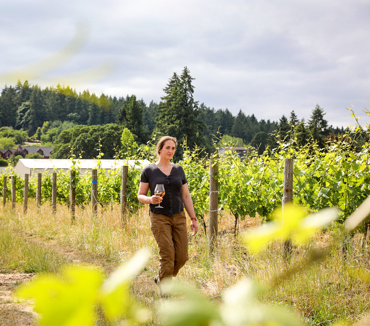 Julia Cattrall — Head Winemaker, Duck Pond Cellars