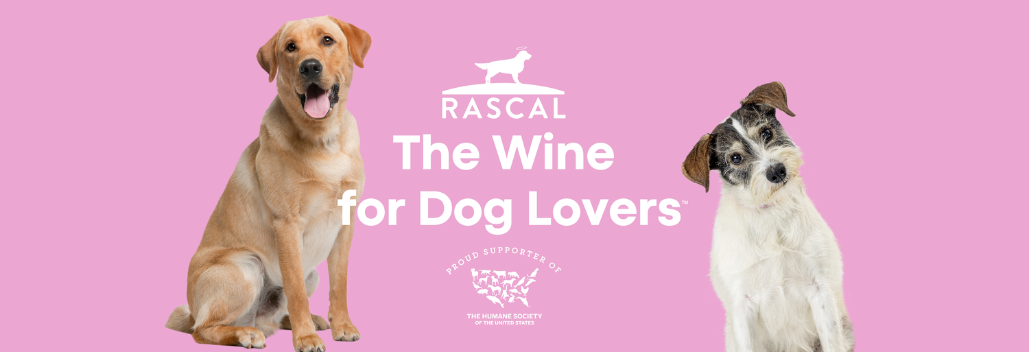 Rascal Wines – Duck Pond Cellars